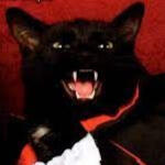 Cats/Kittens
