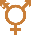 Trans Trans